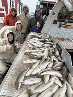 Full Spectrum Fishing Charters trip photo near Slidell, Louisiana